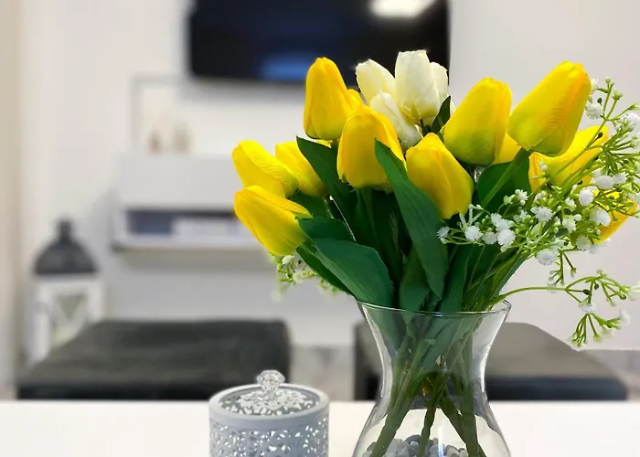 Amaris Apartman Vrnjačka Banja